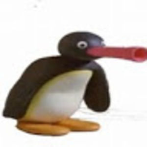 Meet your Posher, Pingu
